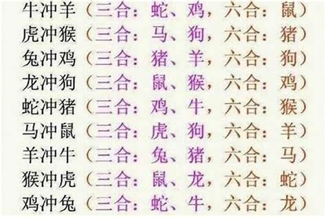 12生肖六合|十二生肖相冲、三合、六合